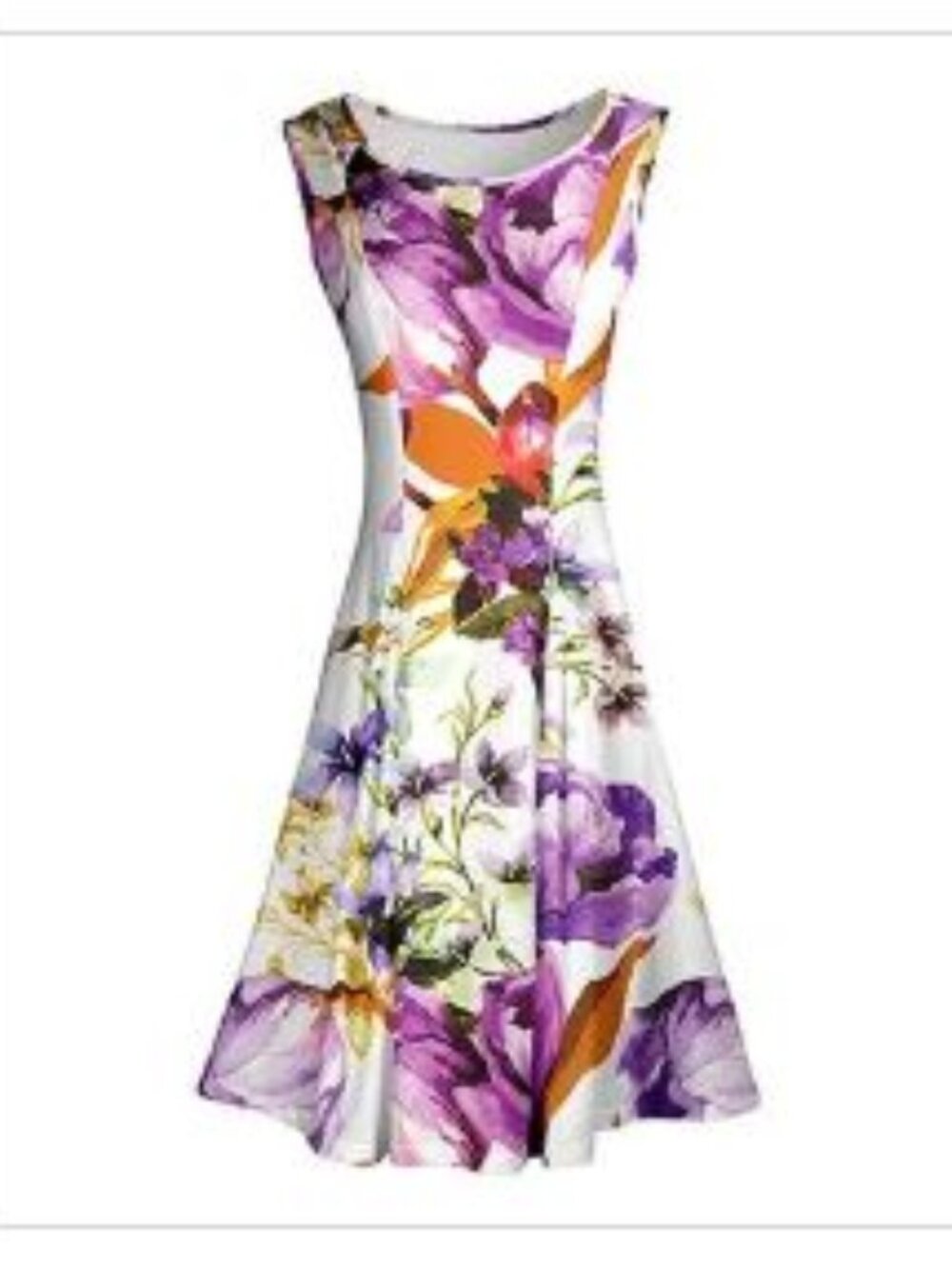 NEW Lily Sleeveless Fit & Flare Dress
